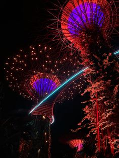 the trees are lit up with colorful lights