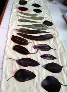 several different types of leaves laid out on a white table cloth with red and black spots