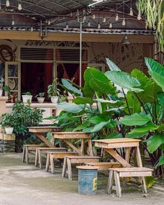 several wooden benches in front of a building with potted plants on the outside wall