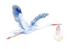 a watercolor painting of a stork flying with a bag in its beak