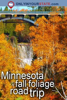 the minnesota fall foliage road trip is featured in this postcard with an image of autumn trees