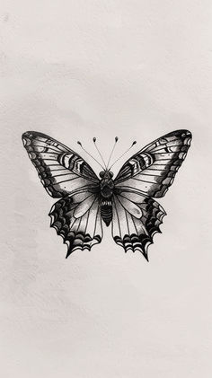 a black and white drawing of a butterfly