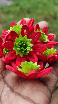 red and green flowers being held in someone's hand