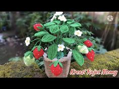 a crocheted strawberry planter is sitting on a mossy branch with white flowers and green leaves