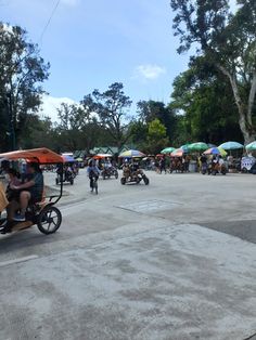 several people are riding bikes with umbrellas over them