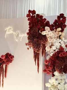 flowers on display in front of a white backdrop