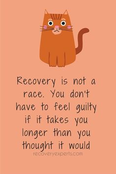 a cat with the words recovery is not a race, you don't have to feel guilt if it takes you longer than you thought it would