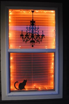 a cat sitting in the window sill looking out