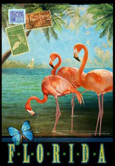 two pink flamingos are standing in the water with a blue butterfly flying over them