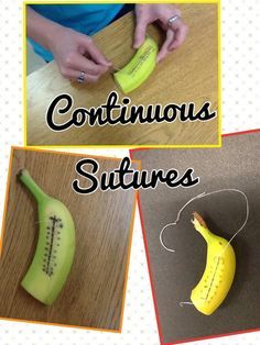 four pictures with words describing how to use bananas as sculptures and other things that are made from banana peels