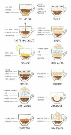 the different types of coffee in cups