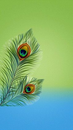 two peacock feathers on a green and blue background