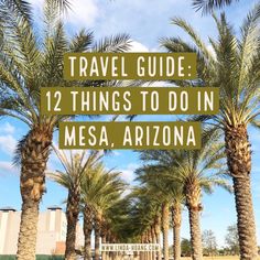 palm trees with the words travel guide 12 things to do in mesa, arizona