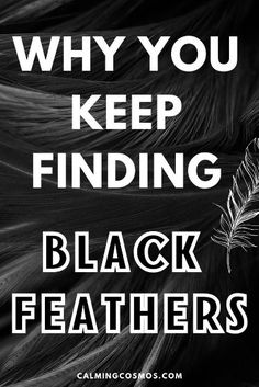 black feathers with the words why you keep finding