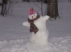 a snowman wearing a pink hat and scarf in the snow with trees behind it