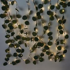 a bunch of lights that are hanging from the ceiling in front of a white wall