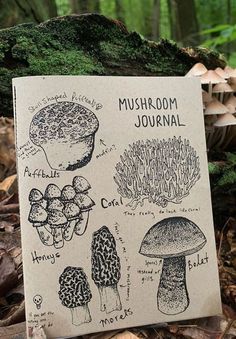 a mushroom journal is sitting on the ground