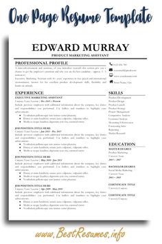 a professional resume template for word and pages with the title'one page resume template '