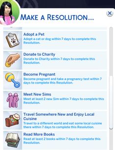 the screenshot shows how to make a resolution for pet owners and their pets, including dogs