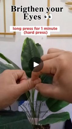 Workouts Hands, Acupressure Points, Massage Therapist, 1m Views, Chinese Medicine, Acupressure, Health Tips