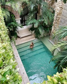 a person sitting in the middle of a pool surrounded by greenery and palm trees