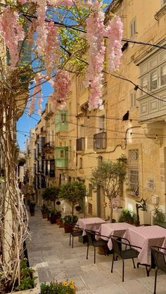 an alleyway with tables and chairs lined up along the side walk under pink blossoming trees