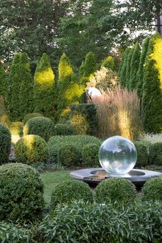 a glass ball sitting in the middle of a garden