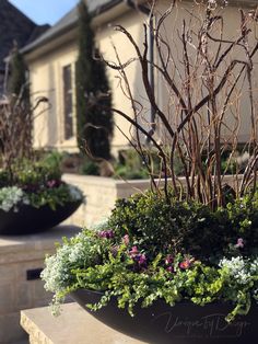 two large black planters filled with plants and flowers on the side of a house