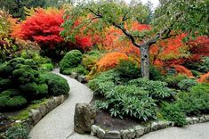 a garden with lots of trees and plants on it's sides, surrounded by rocks