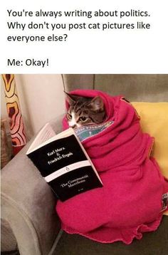 a cat laying on top of a blanket with a book in it's lap