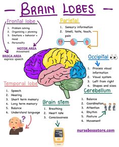 the brain and its functions are labeled in this diagram, which shows how it works