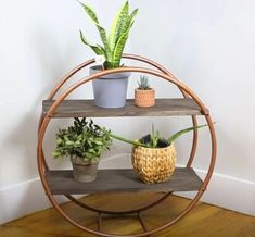 three potted plants sitting on top of a wooden shelf