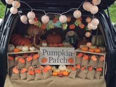 pumpkins and gourds are on display in the back of a truck with lights strung from it