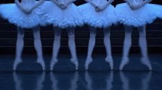 five ballerinas in white tutus are lined up