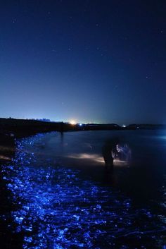 two people are standing in the water at night with their backs turned to the camera