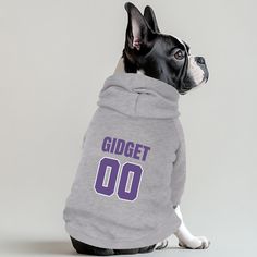 a dog wearing a hoodie with the number 00 on it