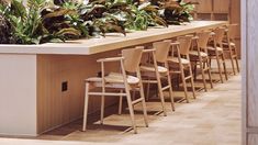 a row of chairs sitting next to each other in front of a plant filled wall