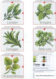 cross stitch chart showing the different types of leaves and their names in english or spanish