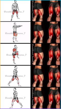 the muscles are shown in different positions and sizes, including one for each body type