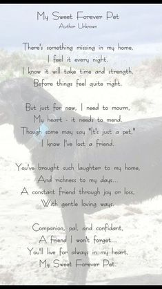 Loss Of A Dog, Pet Quotes, Dog Remembrance