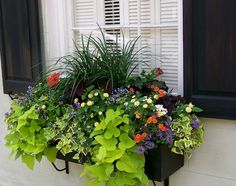 a window box filled with lots of colorful flowers