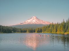 a lake with canoes in front of a snow - capped mountain and pine trees