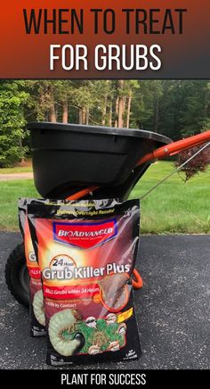 lawn spreader with bags of grub killer in front Lawn Renovation, Lawn Care Schedule