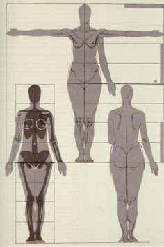 an image of a woman's body and the size chart for each human figure