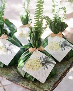 some green plants with tags tied to them