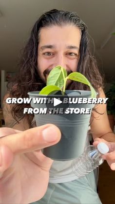 a man holding up a potted plant with the words grow with blueberry from the store