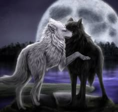 two wolfs standing next to each other in front of a full moon