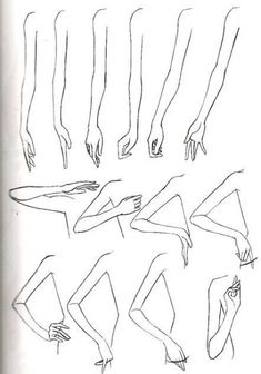 a drawing of different poses and body shapes for a woman's head, hands, legs, and arm