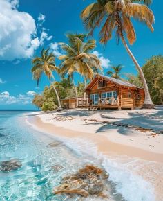 a house on the beach with palm trees and clear water in front of it,