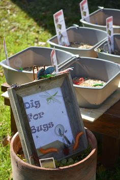 there are many buckets with food in them on the grass and one has a sign that says, big for bugs